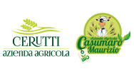 cerutti casumaro